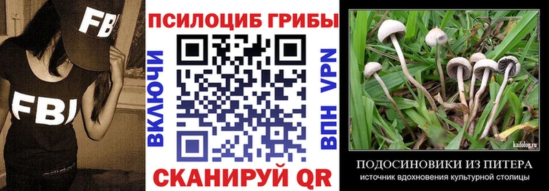 Купить  Бирск  Галлюциногенные грибы Psilocybe 