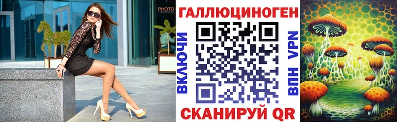 Галлюциногенные грибы Psilocybe Бирск